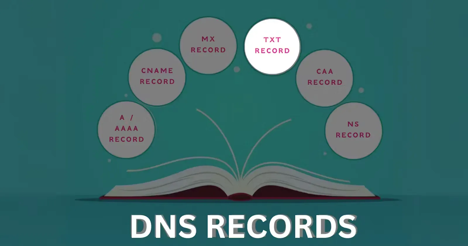 Understanding TXT Records in DNS: A Comprehensive Guide to Text Records